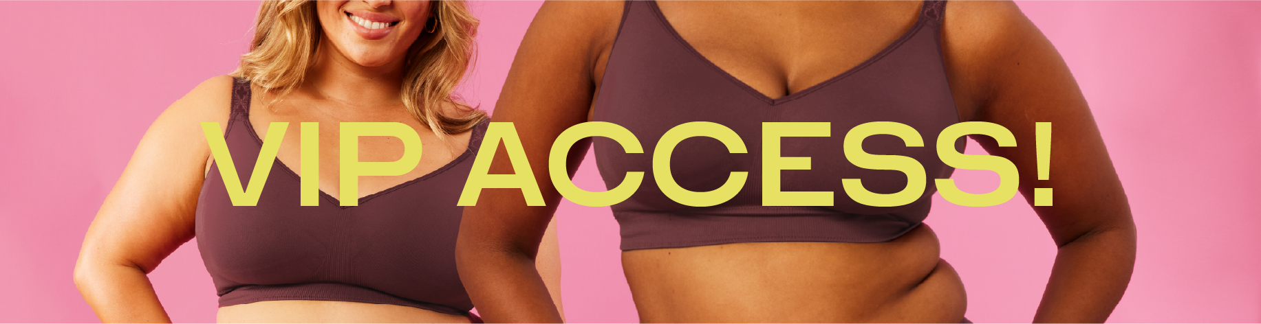 vip black friday banner