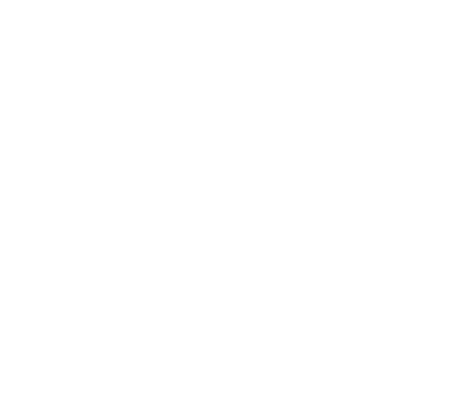 white asterisk icon